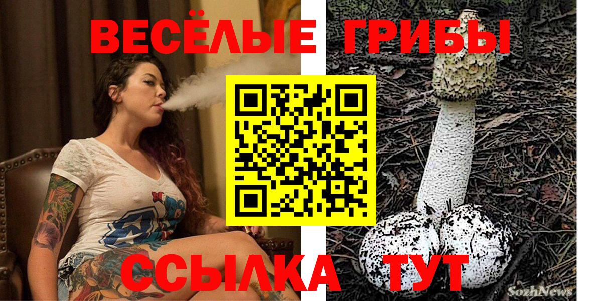 Владивосток  Галлюциногенные грибы Magic Shrooms  Вход с VPN 